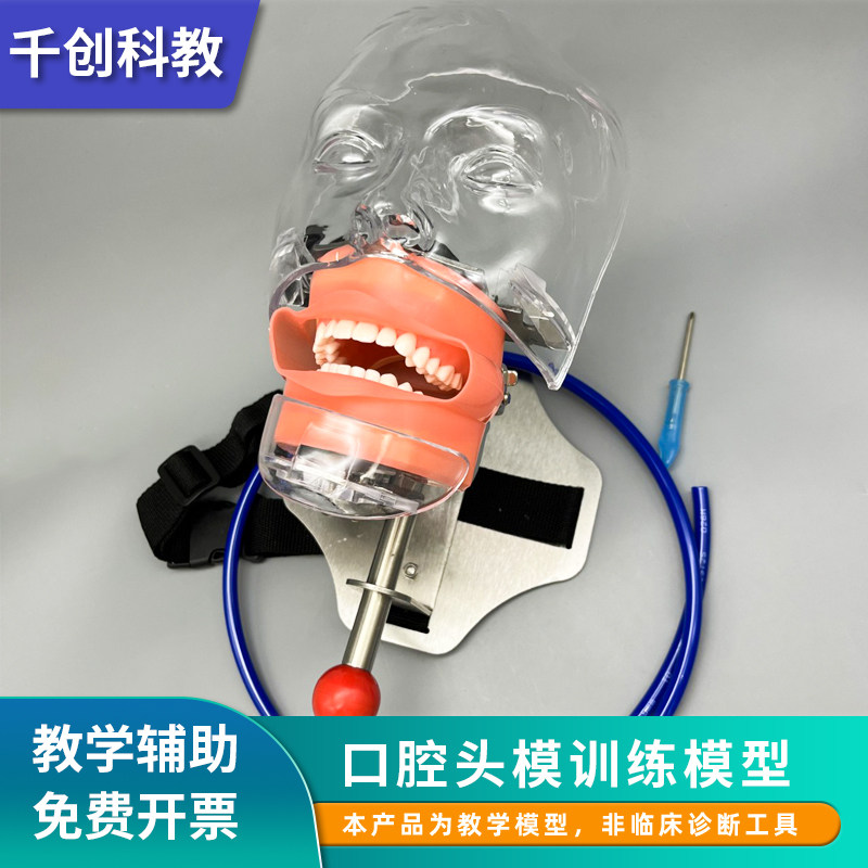 口腔护理头模模型备牙标准模型28颗全口可拆卸树脂牙科医生教学模具练习牙齿仿真牙龈模型教学辅助牙科训练模,文具电教/文化用品/商务用品,模拟人,淘宝优惠券,粉丝福利购,淘宝优惠卷