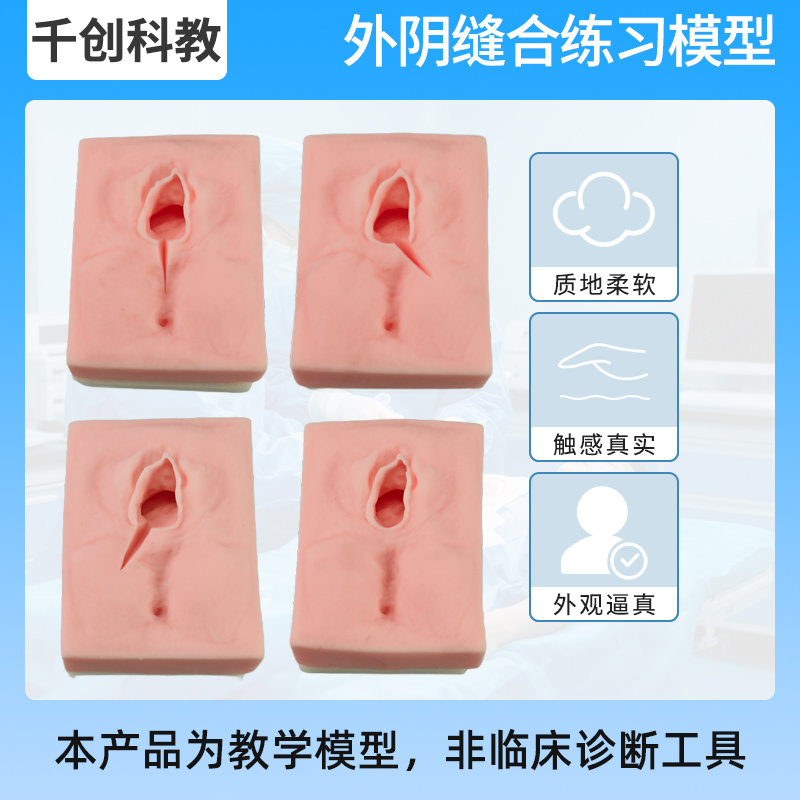 外阴缝合练习模型四切口模块（正中/左/右侧切口高仿真硅胶材质耐穿刺抗撕裂反复练习产科助产士培训医学教具
