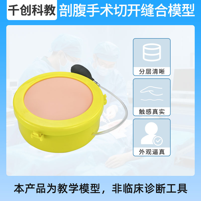 专业剖腹手术切开缝合训练模型 皮肤血管肠管深部组织切开缝合打结 三层解剖结构 腹腔肠管保护练习 外科教学