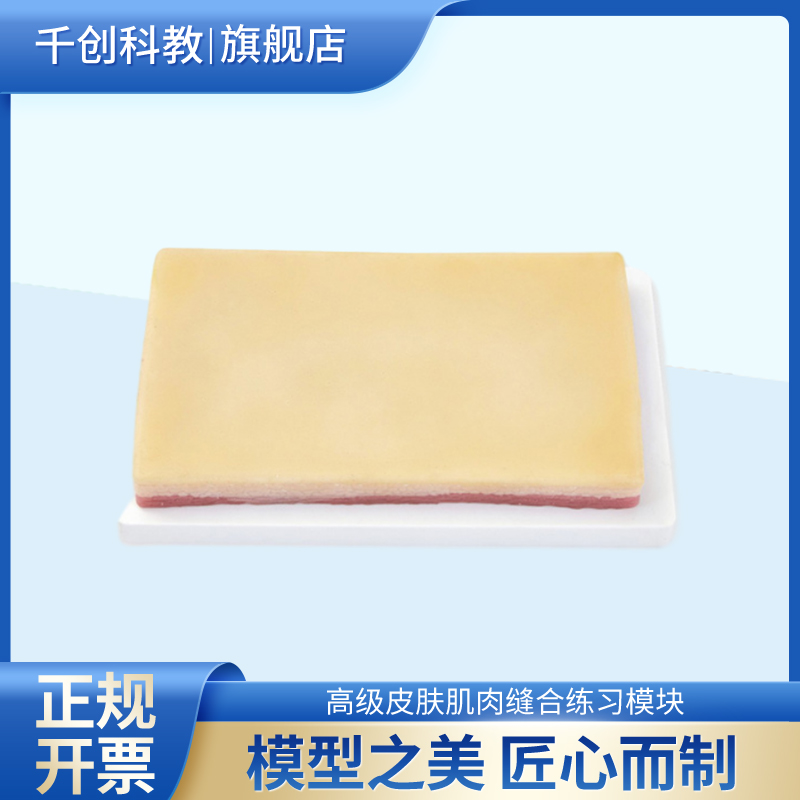 皮肤肌肉缝合练习模块外科基本技能训练三层解剖结构可切开缝合拆线肌肉皮肤缝合真实手感可反复使用医学教学