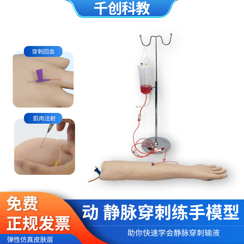 动静脉穿刺手臂模型输液练习肌肉注射皮内皮试注射护士练手模具,文具电教/文化用品/商务用品,模拟人,淘宝优惠券,粉丝福利购,淘宝优惠卷