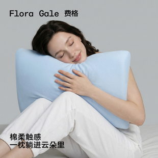 费格深睡枕慢回弹zo3系列枕头护颈椎助睡眠记忆棉枕芯枕头送礼盒
