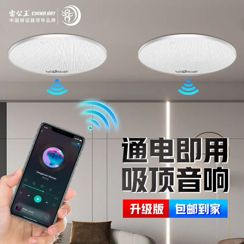 雷公王CR-501吸顶喇叭吊顶蓝牙定阻同轴吸顶音响嵌入式家用重低音