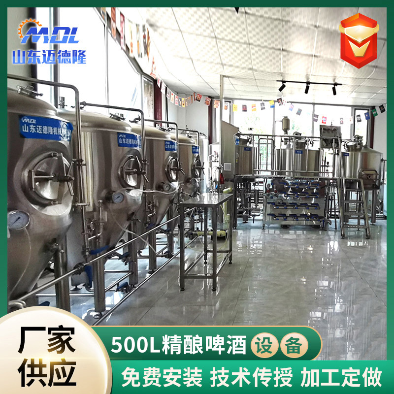 不锈钢葡萄酒发酵罐 啤酒设备自酿啤酒机一体化酿酒发酵罐糖化罐