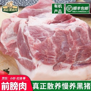 燕赵黑猪肉有机前膀肉精心慢养500天正宗跑山猪前腿肉笨猪黑毛猪