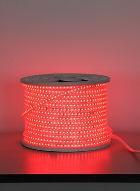 LED硅胶柔性软暖光白光金黄色蓝色红光粉颜色220V室户外防水灯带