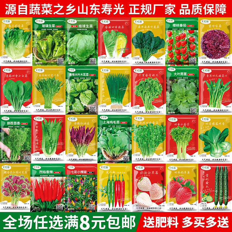 蔬菜种子大全秋冬四季阳台农家盆栽青香菜菠菜生菜番茄辣椒种籽孑