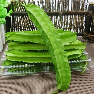 四棱豆种子苗秧豆角四角皇帝豆种籽四季蔬菜菜籽孑龙豆四棱豆种籽