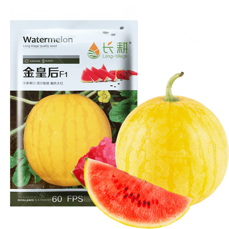 黄皮红壤西瓜种孑早熟春夏秋薄超甜西瓜种籽金美人南方四季种大全