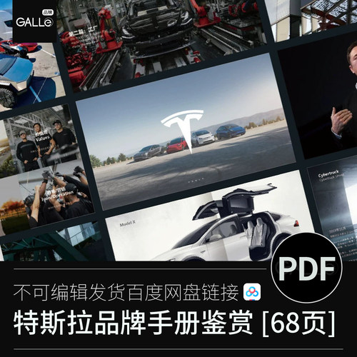 特斯拉品牌手册汽车VIS加盟介绍升级战略平面设计PDF设计素材