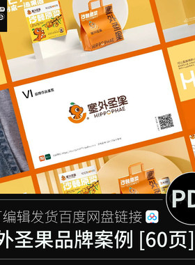 塞外圣果果汁饮料品牌案例作品毕设视觉识别平面设计PDF学习文档