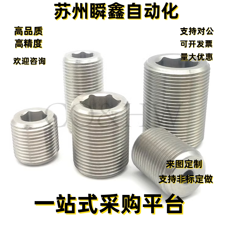 LVWS/LVFWS12/16/20/24/30-10/15/20/25/30/35/40调整螺丝PAF03