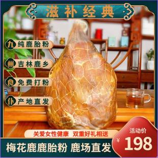 现场磨粉 完整鹿胎 产地直发 梅花鹿鹿胎粉100克 吉林鹿乡