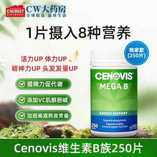 Cenovis萃益维B族维生素补充维B250片复合VB维生素B复合维BB族片