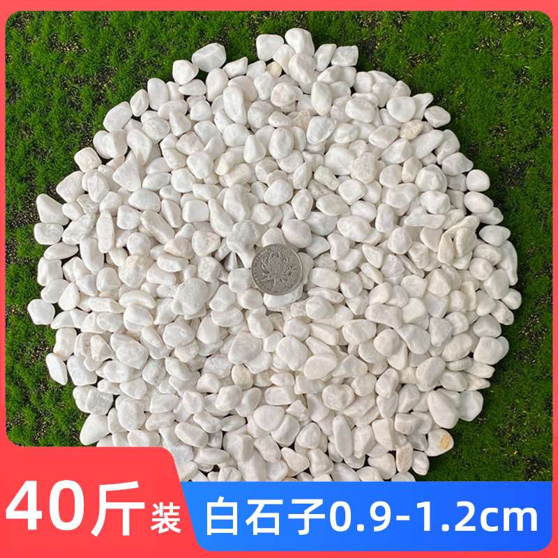 天然白石子景观大小鹅卵石庭院铺路铺地阳台装饰花园白色石子造i.