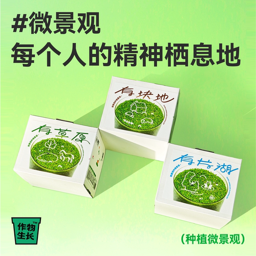 作物生长桌面微景观植物罐