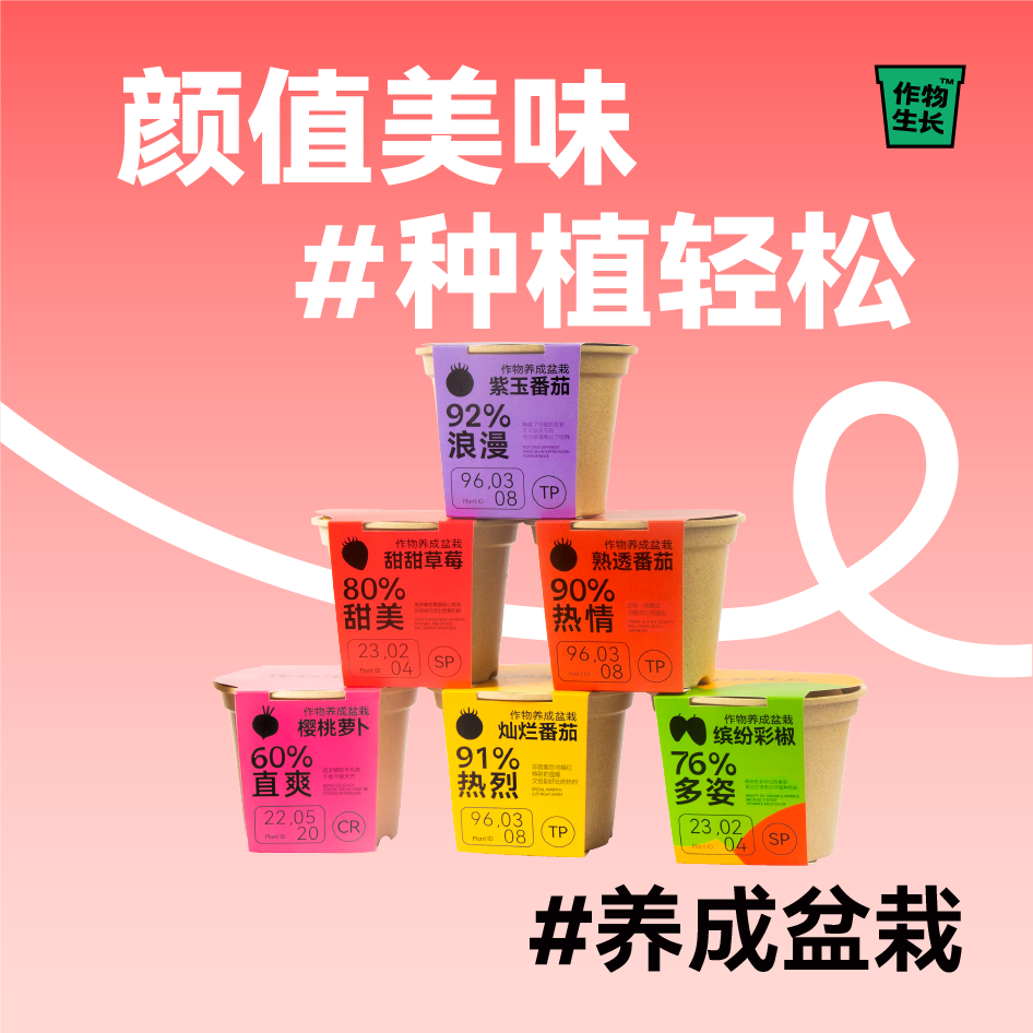 作物生长可食用蔬果种植套装室内种菜盆栽番茄萝卜草莓阳台蔬菜