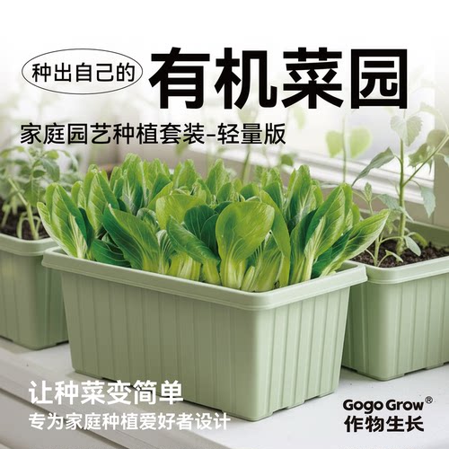 有机蔬菜种植套装在家种菜