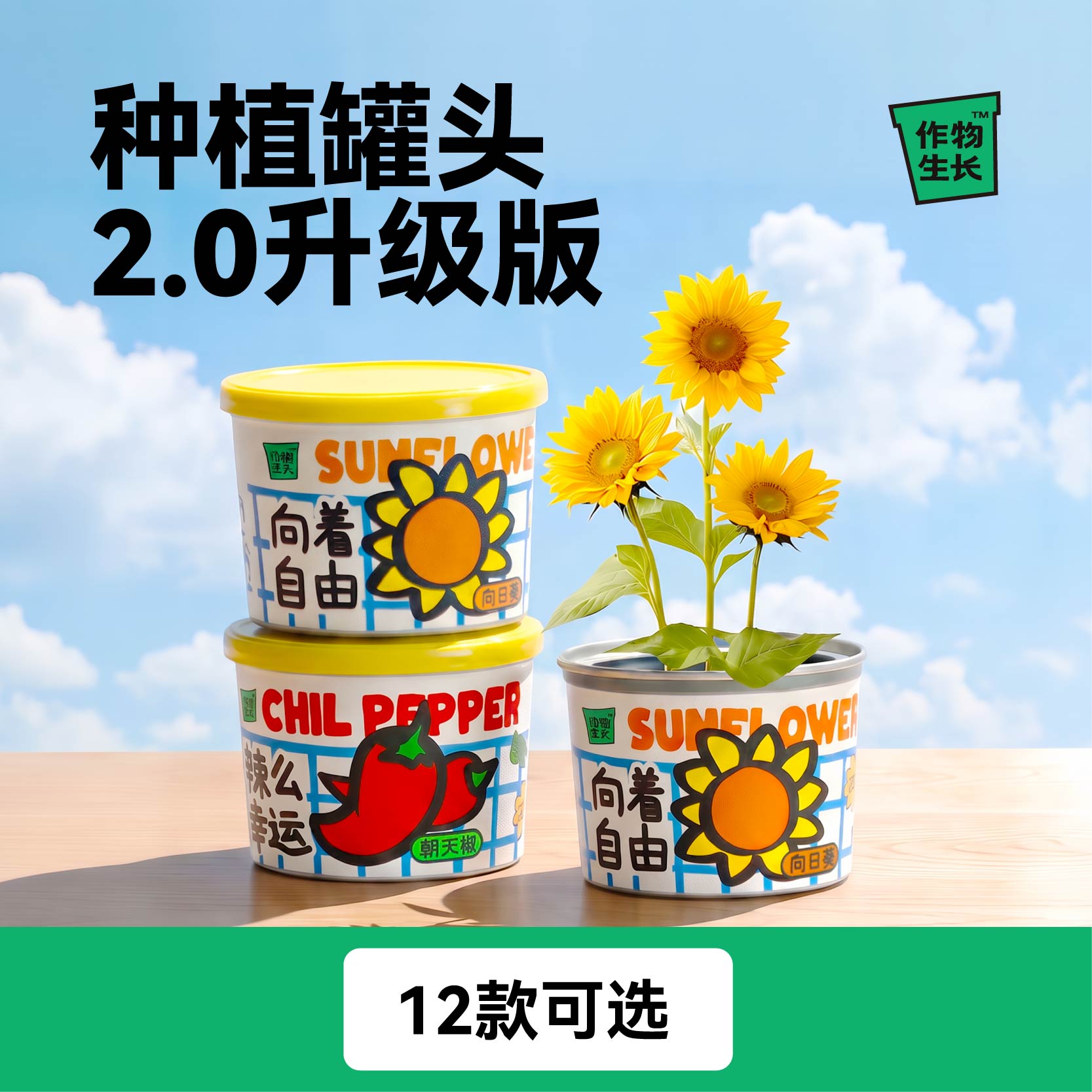 作物生长植物种植罐头室内小盆栽套装桌面绿植创意礼物礼品可定制