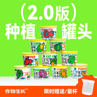 作物生长种植罐头2.0升级版 桌面绿植物情绪价值创意礼物 盆栽套装