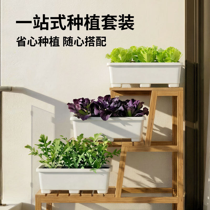 作物生长家庭种植园艺轻食蔬菜套装阳台生菜沙拉盆栽一片田升级版