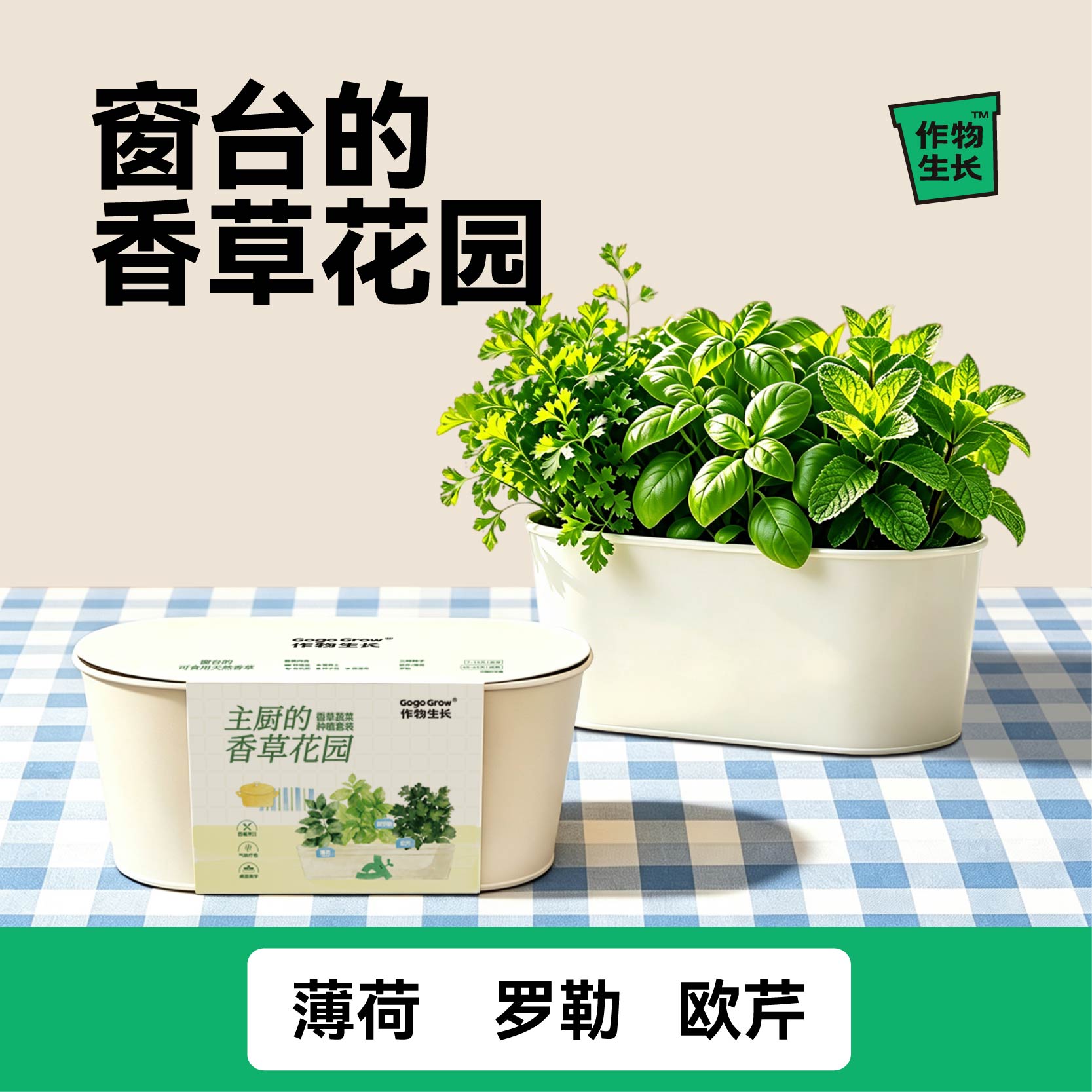 作物生长家庭种植园艺香草蔬菜套装阳台种菜盆栽可食薄荷罗勒欧芹