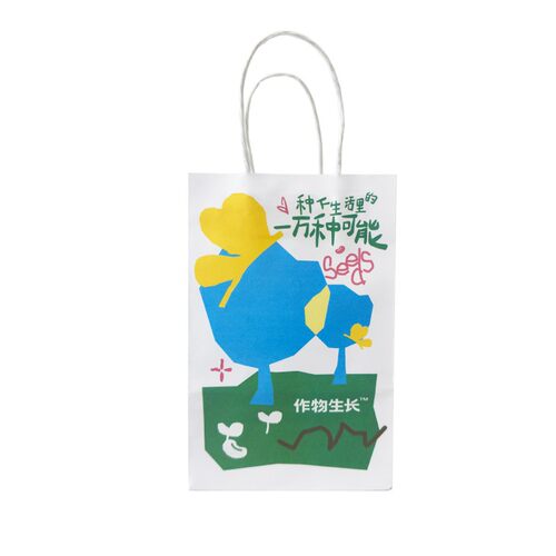 手提礼品袋-彩色（请勿单拍）