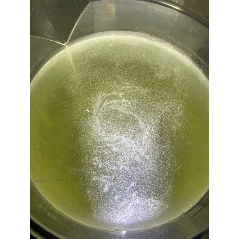 草履虫 洄水 金波子燕鱼斗鱼孔雀灯科鱼幼苗开口淡水轮虫