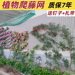 爬藤网植物花墙牵引塑料防护网格花架户外月季蔷薇花枝藤蔓攀爬