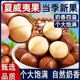 奶油味夏果干果仁袋装 夏威夷果仁坚果原味袋装 年货零食 新货
