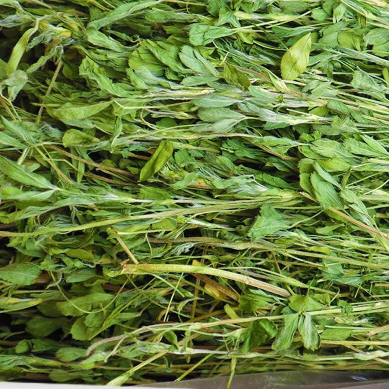 苜蓿草烘干兔草2026新草包邮绿色烘烤紫花草干草兔粮兔子龙猫豚鼠