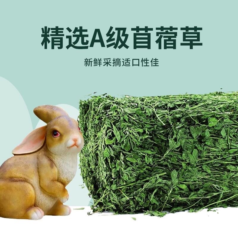 当季头茬26年优选新鲜优质精品烘干紫花苜蓿草干草小宠兔子食用