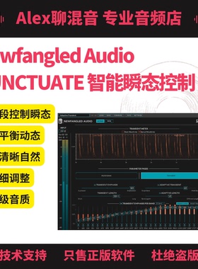 正版-Newfangled Audio PUNCTUATE 智能瞬态提升插件-Alex聊混音
