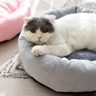 Dog Bed Comfortable Round Cuddler Pet Bed with Pillow Soft