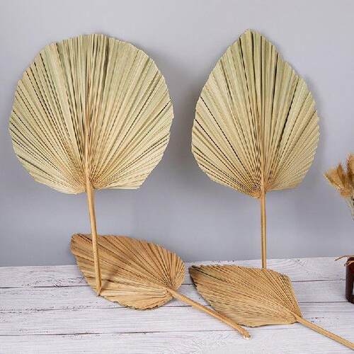 Palm Fan Leaf Dried Flower Palm Leaf Window Reception Party