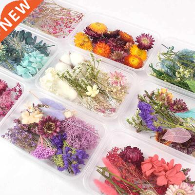 1 Box Real Dried Flower Dry Plants For Aromatherapy Candle E