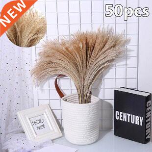 50pcs Dred Flower Home Offce Artfcal Decoraton