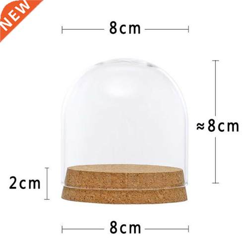 *Clear Glass Display Dome Cover Cloche Bell Jar Succulent Te