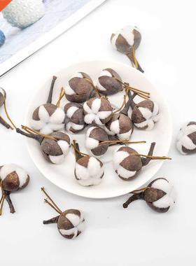 12Pcs Artificial Kapok Head Natural Dried Flower Cotton Swab