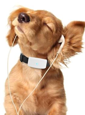 Small Pet GPS Tracker TK911 for Dogs Cat Tracking Device Loc