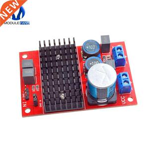 DC 12V 24V TPA3116 Mono Channel Digital Power Audio Amplifi