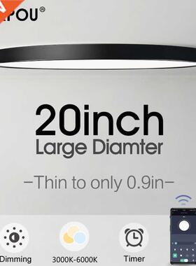 20inch Large Led Ceiling Lamp for bedroom Lamps Room Ligs