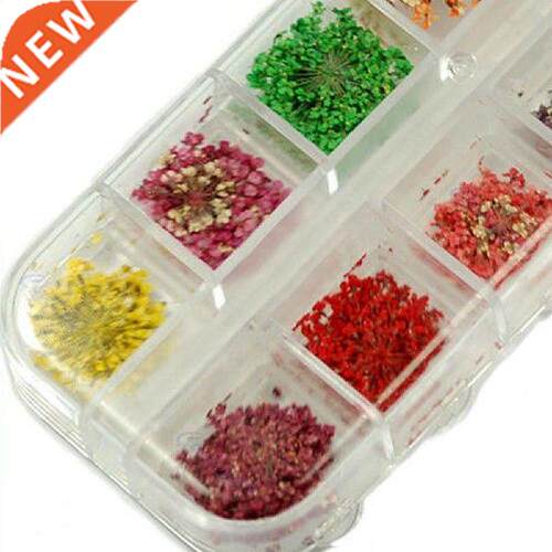 60 Pcs Real Dried Flower Nail Art Tips Sweet DIY Decoration