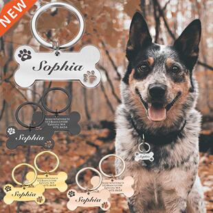 Customizable Dog Clar Address Tags for Dogs Medal with Eng