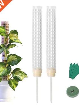 Moss Pole 25cm Plastcs Cor Moss Totem Pole Stck for