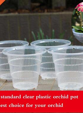Meshpot 10cm/12cm /15 cm Clear Plastic Orchid Pots With Hole