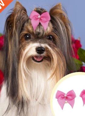 40%HOT 60Pcs/Set Pet Headband Reusable Eye-Catching 3D Cute