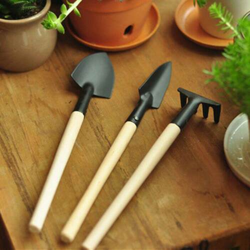 3Pcs Portable Plant Small Rake Beach Soil Scoop Mini Shovel