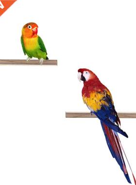 Bird Parrot Stand Perch Shower Perch Standing Toy Bath