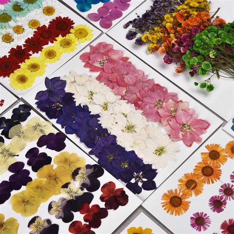 1 Bag Real Dried Flower Dry Plants For Aromatherapy Candle E